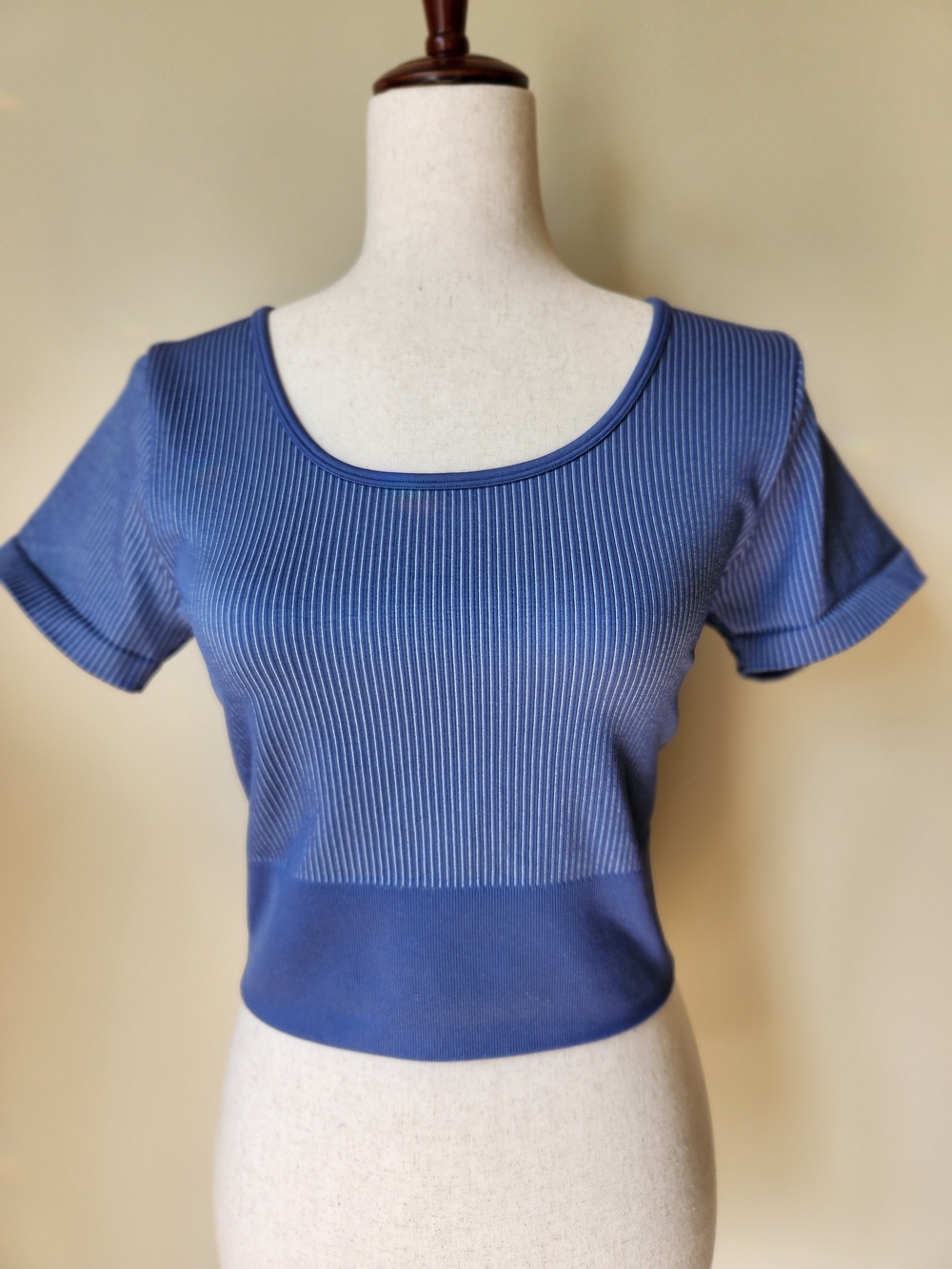 OFFLINE by Aerie Blue Seamless Ribbed Crop Top Short Sleeve Activewear 2X
